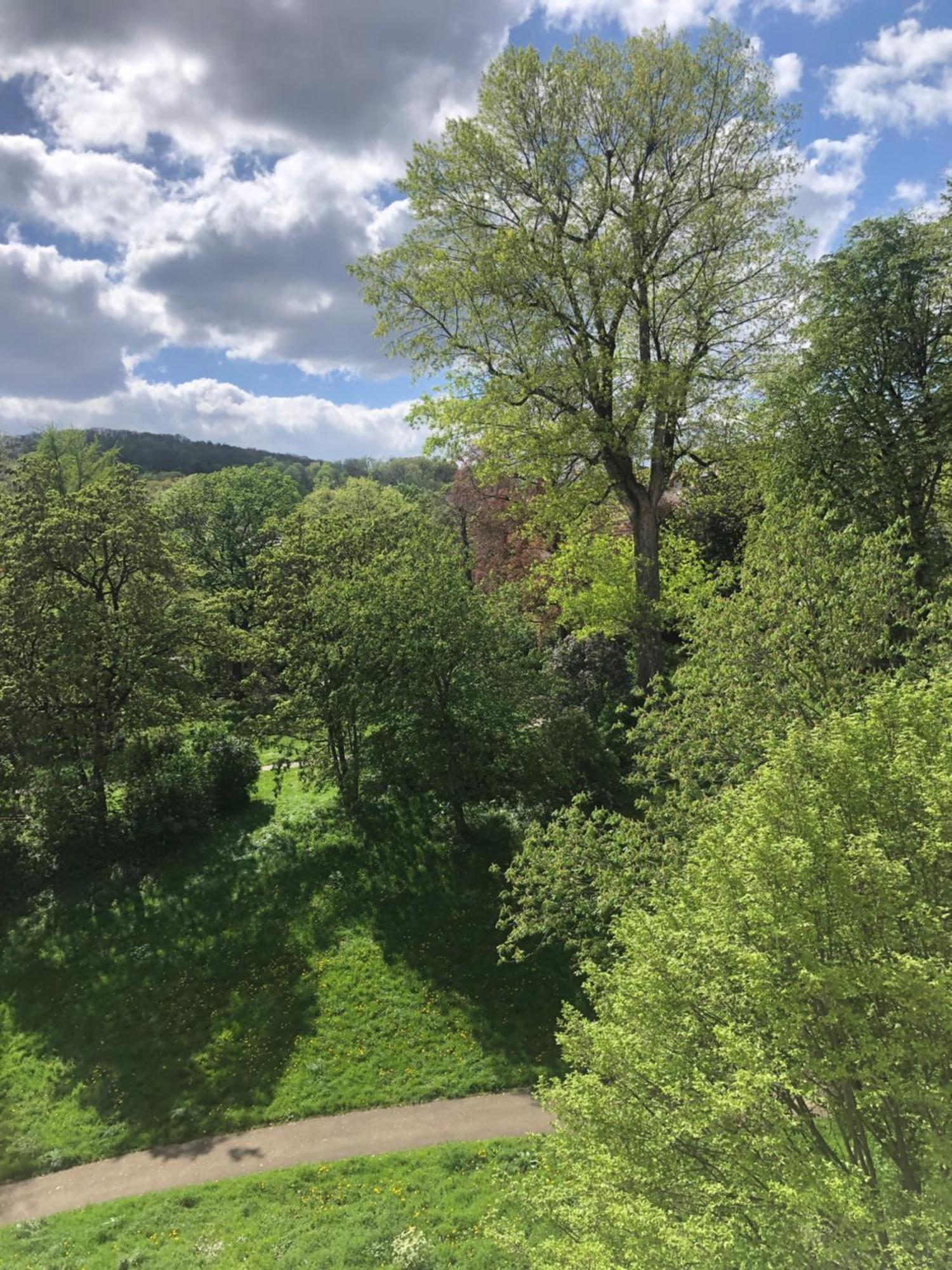 Mit Parkblick Privatunterkunft
